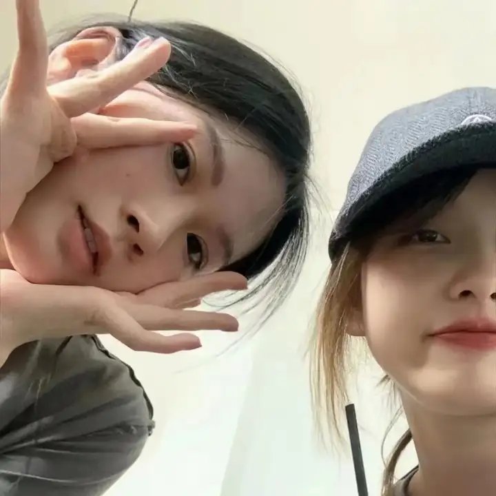 聪明的小母鸡